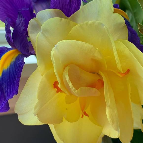 Meet your Posher, Gretchen - Picture 1 of 1